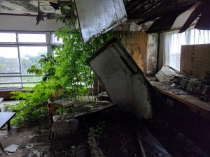 IMG_20170701_170106.jpg