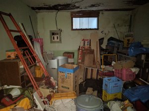 IMG_20170701_170942.jpg
