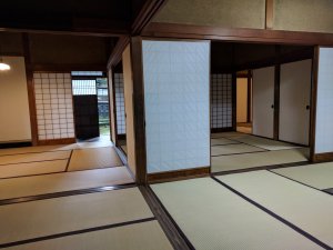 IMG_20170702_124150.jpg