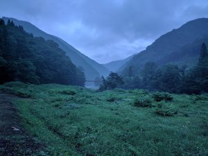 IMG_20170702_153353.jpg