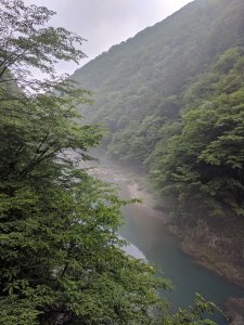 IMG_20170702_155729.jpg