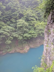 IMG_20170702_155736.jpg