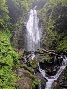 IMG_20170702_160511.jpg