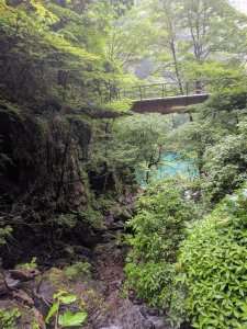 IMG_20170702_160527.jpg
