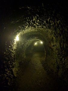 IMG_20170702_161130.jpg