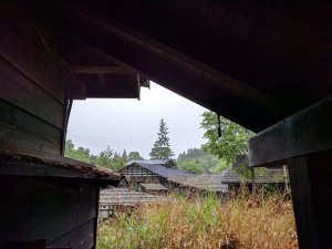 IMG_20170703_130631.jpg