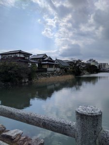 Picture20170315105156.jpg