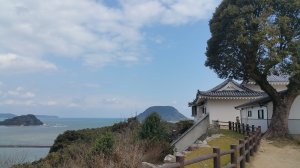 Picture20170315111806.jpg