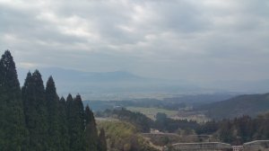 Picture20170319084914.jpg