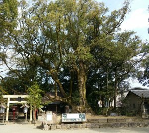 Picture20170319094711.jpg