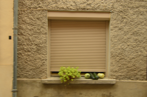 DSC 0170