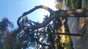 20161027_150544.jpg