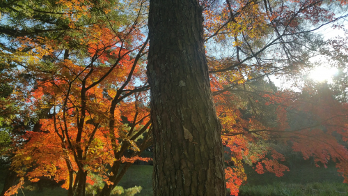 20161027_150822.jpg