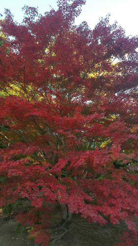 20161027_151535.jpg