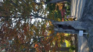 20161027_152551.jpg