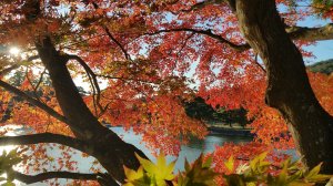 20161027_153017.jpg