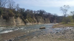 20170410_141614.jpg