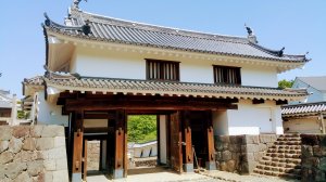 20170520_091242.jpg