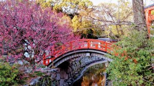 IMG-20170214-WA0058.jpg