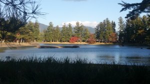 Picture20161027150346.jpg