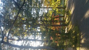 Picture20161027150448.jpg