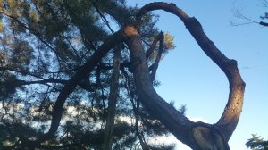 Picture20161027150538.jpg
