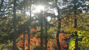 Picture20161027150638.jpg