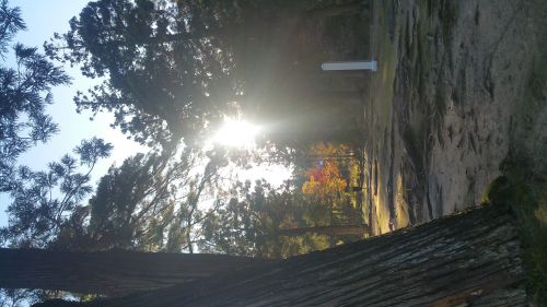 Picture20161027151100.jpg