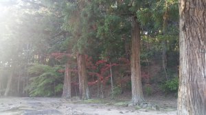 Picture20161027151106.jpg