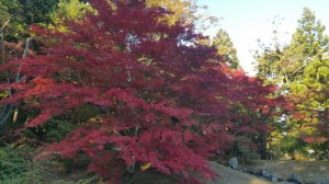 Picture20161027151444.jpg