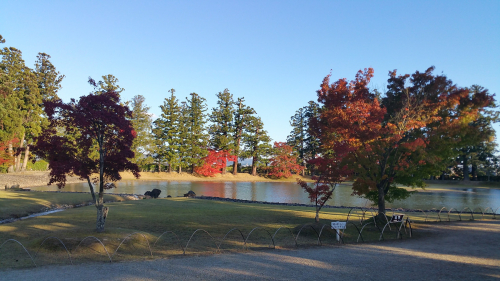 Picture20161027152019.jpg