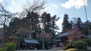 Picture20170423160811.jpg