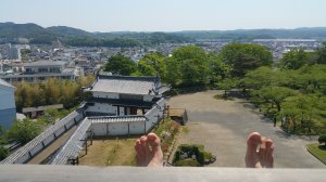 Picture20170520094827.jpg