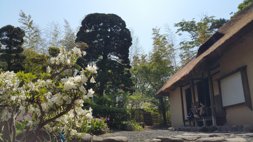 Picture20170520133432.jpg